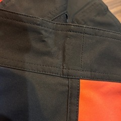 LYFT GRAPHIC STAG SHORTSの画像