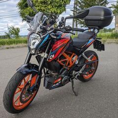 デューク250