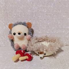 ハリネズミちゃんがハリネズミ手編み容器に乗っています。の画像