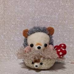 ハリネズミちゃんがハリネズミ手編み容器に乗っています。の画像