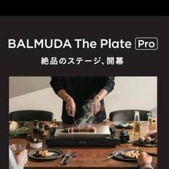 バルミューダザ•プレート　プロ新品未開封