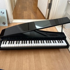 持ち運び可能KORG コルグ micro PIANO の画像