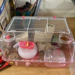 ハムスター　セット