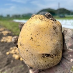 古民家再生ボランティア募集❗️