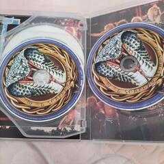 ホワイトスネーク1990の画像