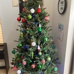 クリスマスツリーの画像