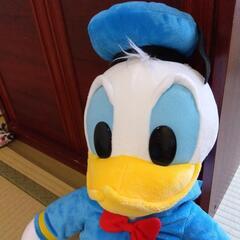 ドナルドダックの大きめぬいぐるみの画像
