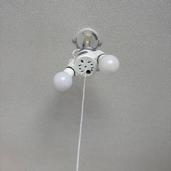 部屋電球３つ