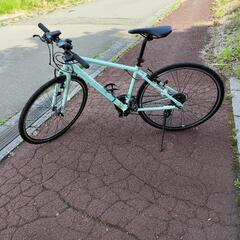 ブリジストン　CYLVA    F24