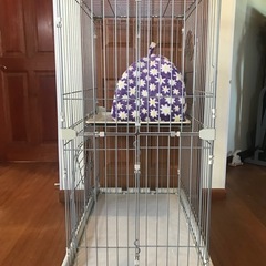 猫さま用ケージ　2階建のキャスター付き
の画像