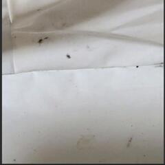 小さめ保冷バッグの画像