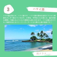 【戸塚フラダンス】 子供フラダンス・新規開講 火曜日16:10からの画像