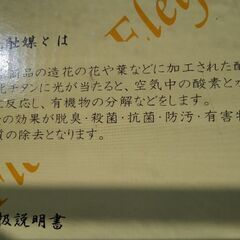 光触媒 Elegant flowerの画像