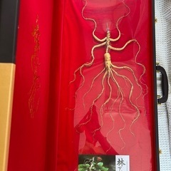 山人参の画像