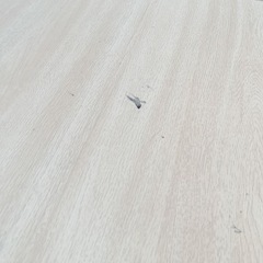 こたつテーブルの画像