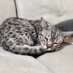 気になる場所に付き合ってくださる方＊