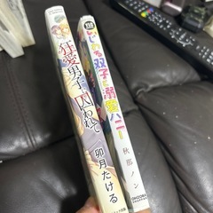 本日中！！！BL＆おまけ？！本22冊 の画像
