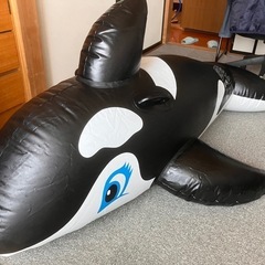 シャチ　フロート