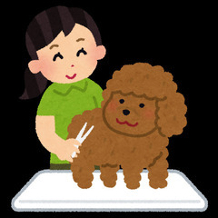 トリミングサロン