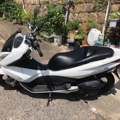 売れました。の画像