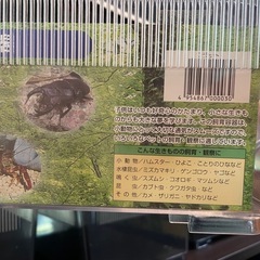 プラケース フラット ２０個 虫かごの画像