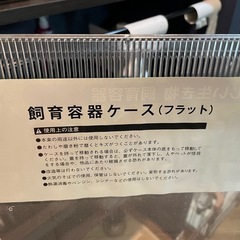 プラケース フラット ２０個 虫かごの画像