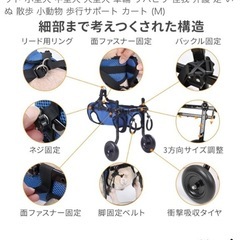 犬用車輪の画像