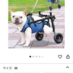 犬用車輪の画像