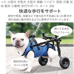 犬用車輪の画像