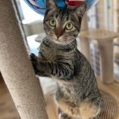 写真より断然可愛い子
