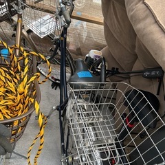 綺麗です。自転車