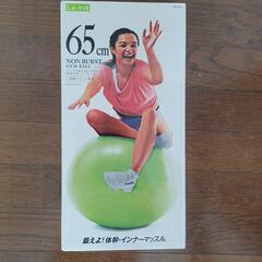 LAVIE バランスボール(65cm ライム)



の画像