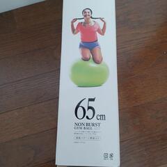 LAVIE バランスボール(65cm ライム)



の画像