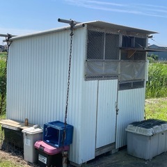 鳩小屋の画像