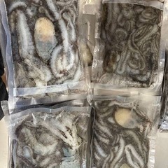シガヤーダコ(釣り餌)