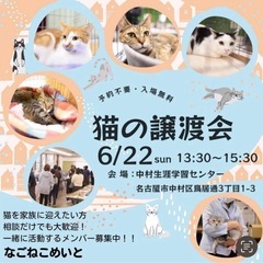 子猫も参加の譲渡会