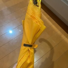 黄色傘の画像