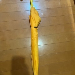 黄色傘