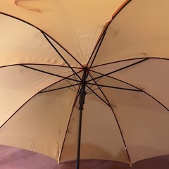 黄色傘の画像