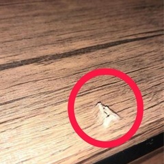 【モンステラ購入していただきましたら無料です】 3段ラックの中板のみ　DIYにいかがでしょうか？　の画像