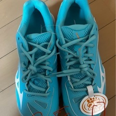 Mizuno  [ミズノ] バドミントンシューズ ウエーブクロー 2 FITの画像