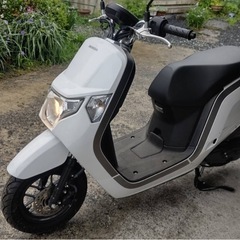 ホンダ　ダンク　極上