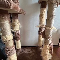 キャットタワーの画像