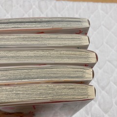 なのに千輝くんが甘すぎるの画像