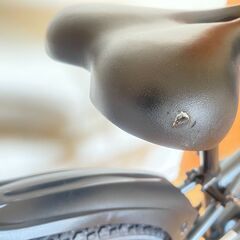 AVIGO 24インチ自転車 サベージ CIデッキ オートライト付き　引取専用の画像