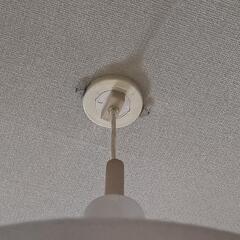 ステンレス電気シェードの画像