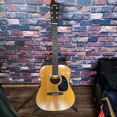 Lumber アコースティックギター LDG10NA