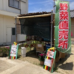 淡路島玉ねぎ10円から~