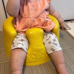 バンボの画像