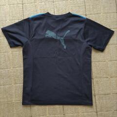 プーマTシャツ　150cmの画像